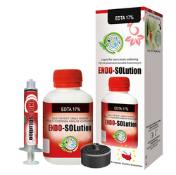 ENDO-SOLution